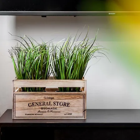 Black&white Free Parking *