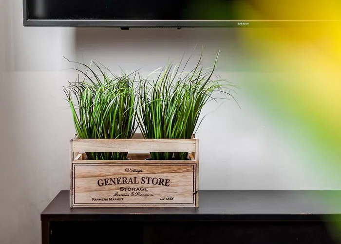 Black&white Free Parking *